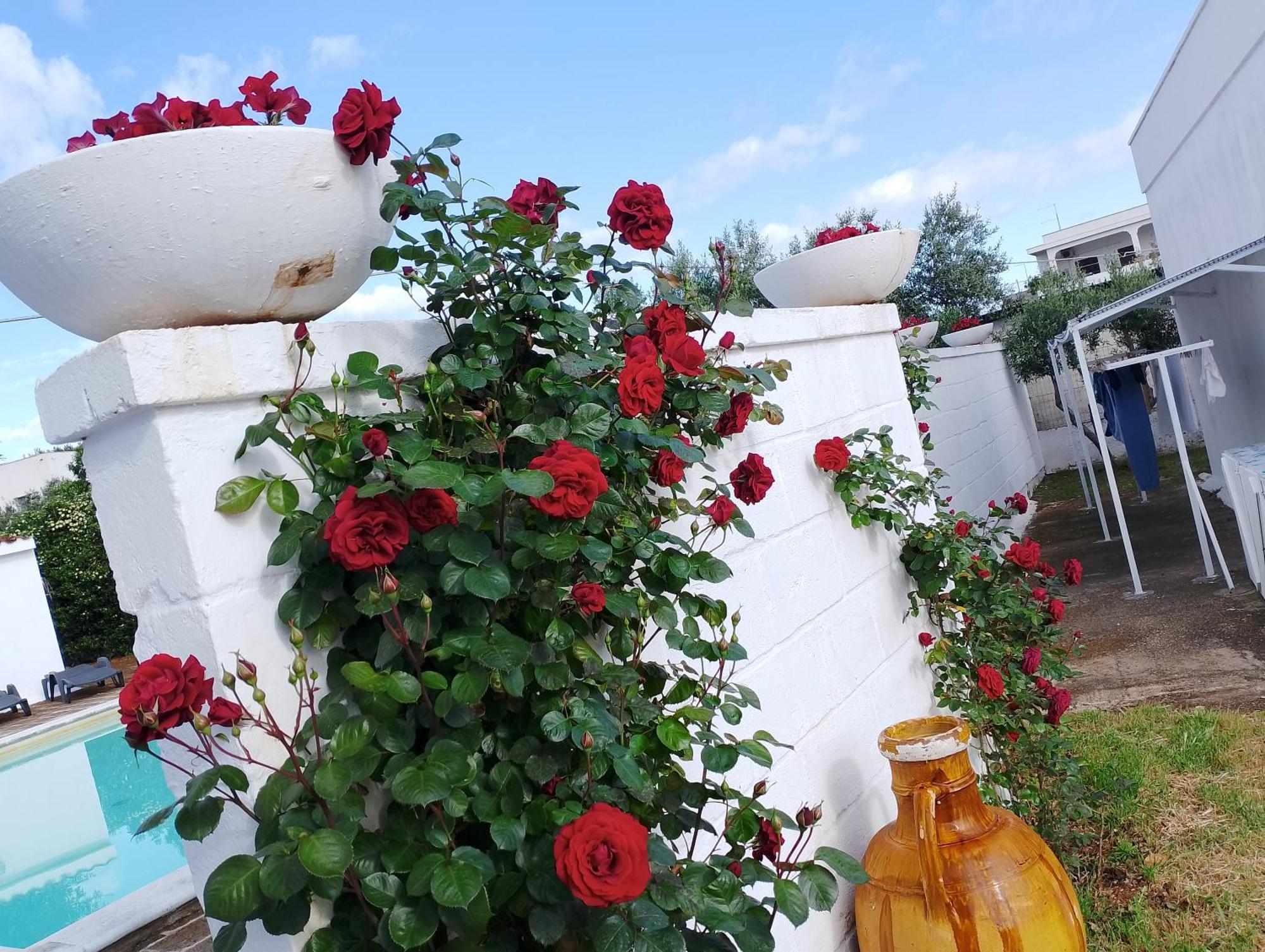 La Dimora Di Nonna Giuliana Hotel Ostuni Exterior photo